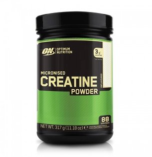 Optimum Nutrition Micronized Creatine Powder 