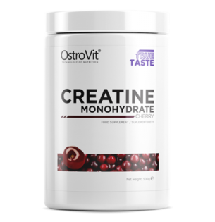 Ostrovit Creatine 500g