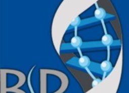 Balkan Pharmaceuticals или Vermodje - какого производителя анаболических стероидов выбрать?